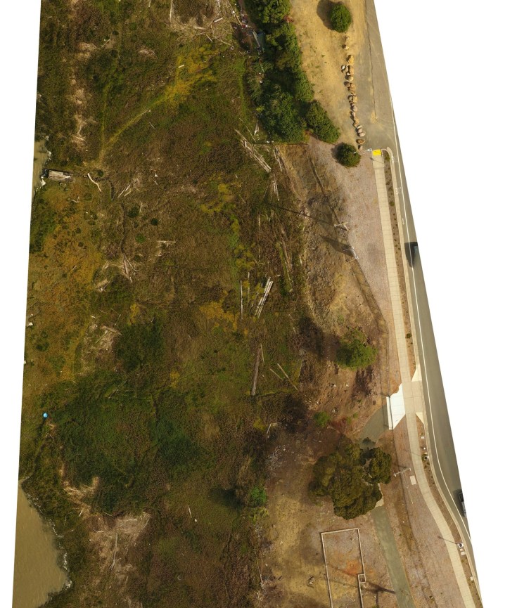 Marshland inaccessible on foot is viewable in great detail from above.